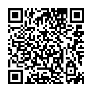 顿时将里面的布帘狠狠的一拉瞬间盖在了苏凡的脑袋之上二维码生成