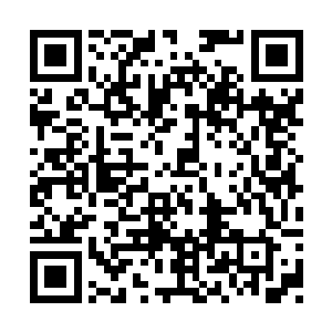 顿时所有人的脸上顿时也露出了一抹兴奋的神情二维码生成