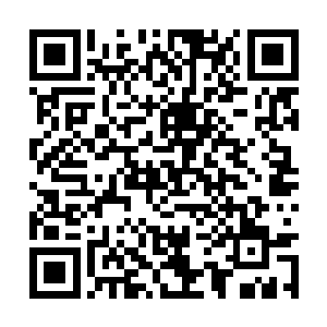 顿时拎起拳头直接朝着蛇夫圣骑的胸口轰砸了过去二维码生成