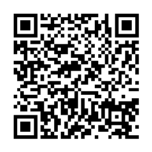 顿时拎起自己的拳头便直接朝着诸葛正明一拳轰砸了过去二维码生成