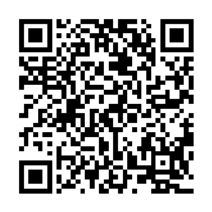 顿时整个小岛的下方开始不断的延伸直接延伸到了海底固定二维码生成