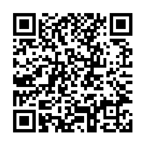 顿时明白自己身上那粉色锁链吸收的血肉到底去了何处~二维码生成