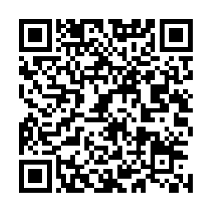 顿时有六个强壮的海盗抬着一个巨大的号角吃力地走了出来二维码生成