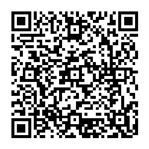 顿时有身披青色盔甲的青蛇殿巡山子弟和身披燃烧着火焰一般的赤色盔甲的赤蛇殿巡山子弟二维码生成