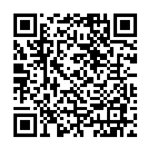 顿时杀戮天尊在杨戬心中的分量也南面有些轻了不少二维码生成