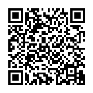 顿时李晓诗和杨淑琴两位女同志一下子便忍不住失声哭了起来二维码生成