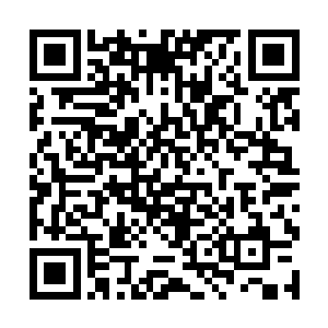 顿时路易斯的眼泪水都快被龙王的这一下给扯了出来二维码生成