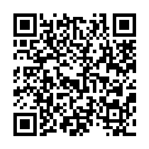 顿时金鹏至尊望向龙傲天的目光之中也变得更加的感激起来二维码生成