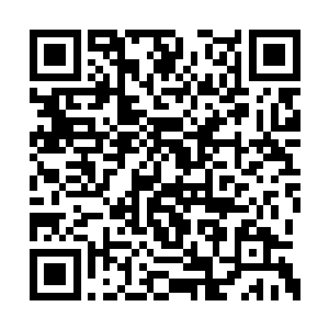 顿觉自己的脑袋被门夹了才提议坐私家车逛市区二维码生成