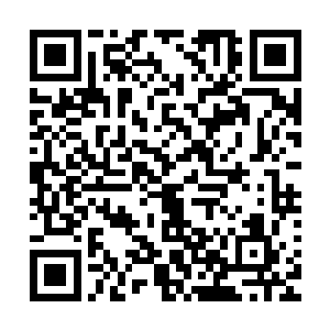 领了你们的仙装之后便是跟着你们的师兄师姐们自行报到去吧二维码生成