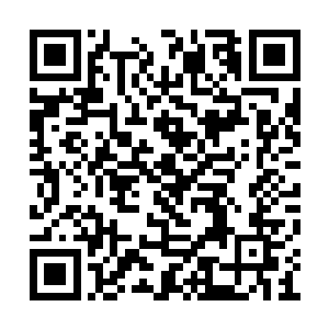 领取拍卖号码牌之后就可以凭着号码牌住在客房二维码生成