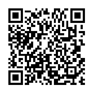 领头的赫然是天元旅行课中和蛋圆圆有一打之缘的宁若薇二维码生成