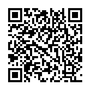 领导要是想给自己的朋友弄点计划内的燃油怎么办二维码生成