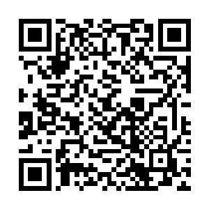 领悟了金属性意境的许紫烟不仅仅是领悟了金之剑意二维码生成