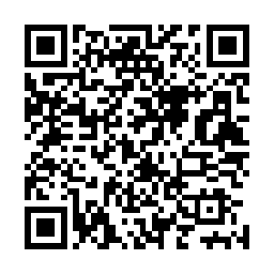 领悟了雷之法则的许德拉使用出来之后威力更是无比的恐怖二维码生成