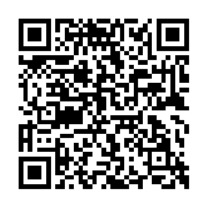 领着杨开和祝晴过来的那一对男子也是吓了一跳二维码生成