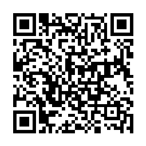 领队疾飞的褚子山同时在向酉丁域各地驻军人马下令二维码生成