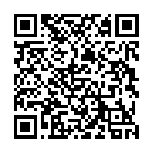 颇有点和地球上卵生的鸭嘴兽属于哺乳动物还是卵生动物二维码生成