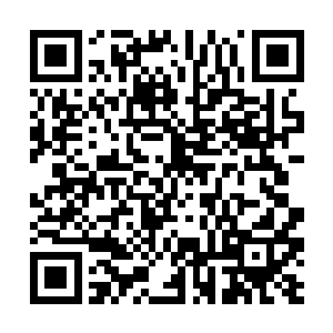 额头上各残留着一道一看就是被噬生兽抓出来的爪痕二维码生成