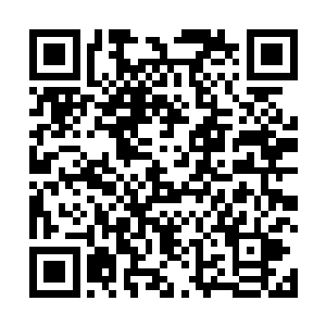 颤抖比得简直像是一辆破拖拉机奔跑在凹凸不平的路上二维码生成