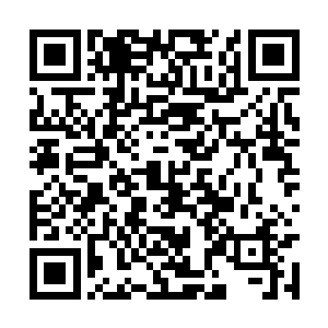 颤颤抖抖的指着远处的树枝上挂着的细长的小白蛇二维码生成
