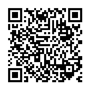 风天翔原本以为叶婉依是把钱花光了想找自己借钱给母亲看病的二维码生成