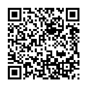 风天翔如果出事那他们谢家就真的要任魏家宰割了二维码生成