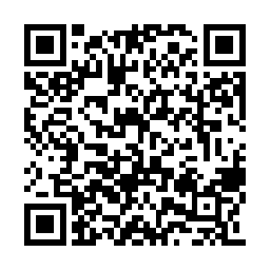 风奇泽急忙跑到远处的高处朝着尸魁树看了过去二维码生成