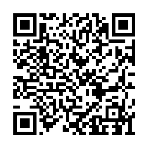 风女的声音对于梓箐来说无异于黑暗中的指明灯二维码生成