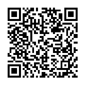风清扬在不近身的情况下只凭自身的蛮力根本就不是其对手二维码生成