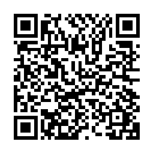 风清扬收敛了气息悄悄的绕到了离他们不足几十米的一棵大树后二维码生成