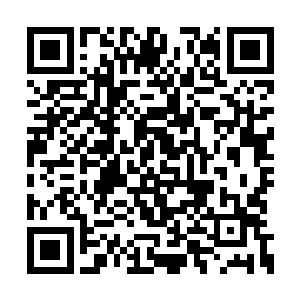 风长老便是在叶莫错愕的表情中落在了他的身前二维码生成