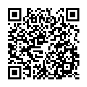 风雨兼程之下总算在离家后的第十九天赶到了京城二维码生成