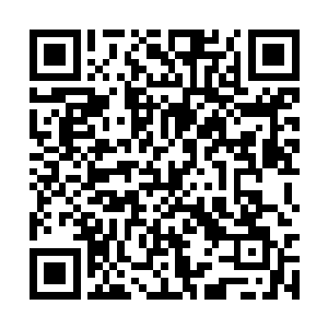 风魔灰太郎一行在一个巨大的岩浆湖前停住了去路二维码生成