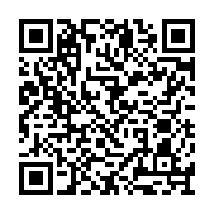 飞出城的时候并没有往工甲韧他们所在的地方飞二维码生成