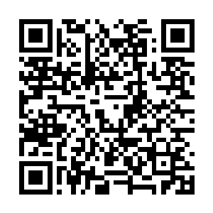 飞剑门的人难道已经在我来到这里之前提前进去了二维码生成