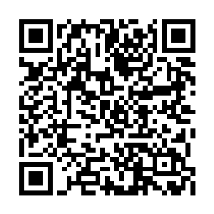 飞升修士想要换回来的时候就要一千万倍的交换二维码生成