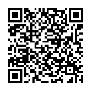 飞天猫其实都已经帮他抓死过对面的石头人一次了二维码生成