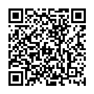 飞星也知道了龙战家的小奴隶去医治那些老猎手的事情二维码生成