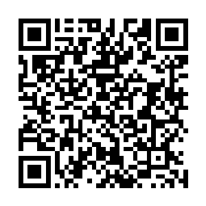 飞机就这样紧急迫降在一片原始森林的倾斜面最小的空地上二维码生成