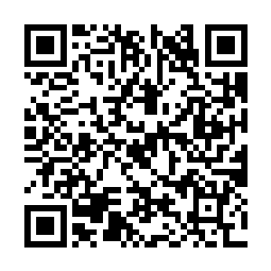 飞步已经出神入化的我也不会轻易给他的法术打到二维码生成