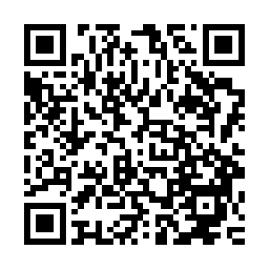 飞翼银龙和金甲蛮虫也发现了魔宫顶部涌动压下来的浓烈雾气二维码生成
