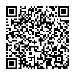 飞龙城十大家族的重要人物和候选弟子都早早的来到城外的一片空地二维码生成