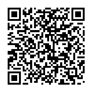 食尸鹫出现的地方不是死尸聚集的地方便是将会有死尸出现的地方二维码生成