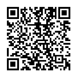 食尸鹫把这群黄羊兽标记了他们的味道便把它们视为自己的猎物二维码生成