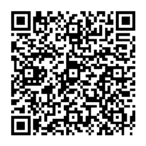 食物是自己在腐烂森林找毒性小一些的植物根茎叶片专门喂食男爵的植物的活血肉二维码生成