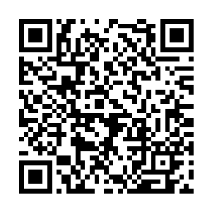 饭吃到一半白奇雪的爸爸妈妈就因为有急事出去了二维码生成