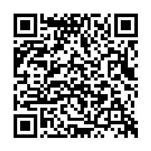 饶是沈凡上次在回春天人洞府得到了了不少丹药二维码生成