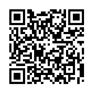 饶是穿山甲有坚硬的皮甲无法砸坏二维码生成