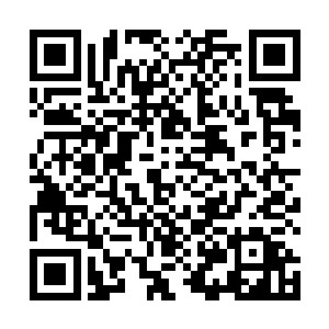 饶是身为精锐部队的獬豸铁骑这下也不禁有些心惊胆战二维码生成